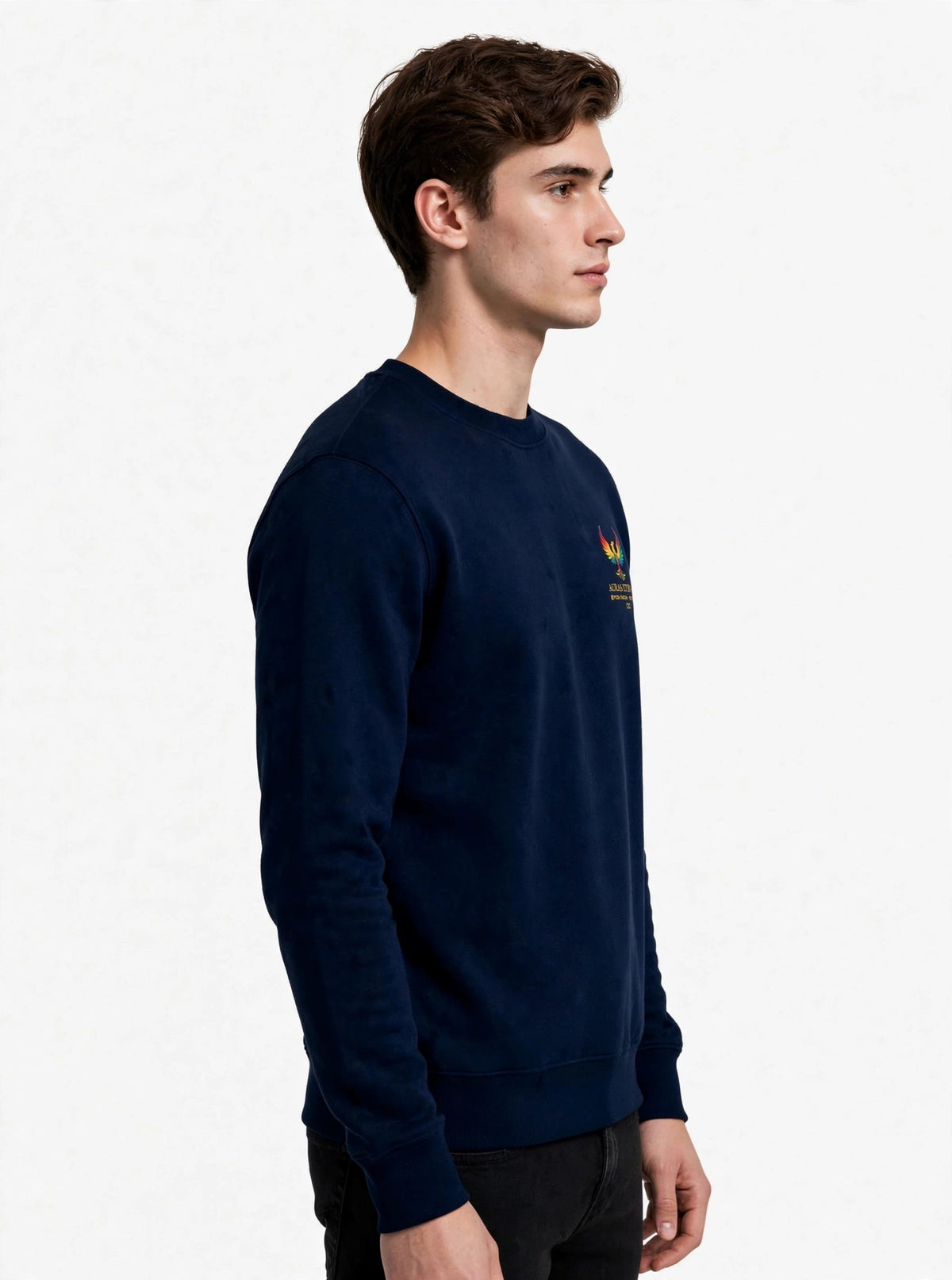 AurasEternal Graphic Sweatshirt | 350 GSM | 100% Cotton